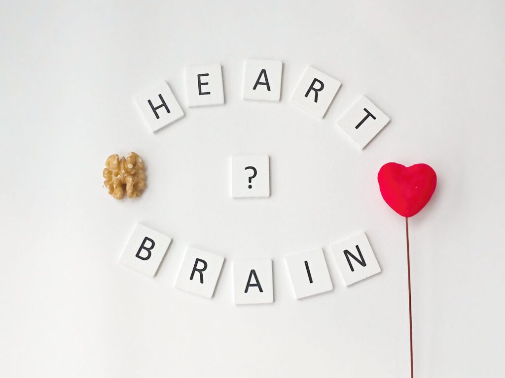 kalp ve beyin 